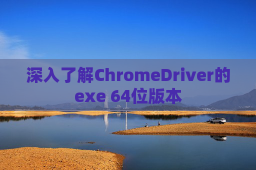 深入了解ChromeDriver的exe 64位版本