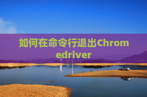 如何在命令行退出Chromedriver