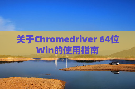 关于Chromedriver 64位Win的使用指南